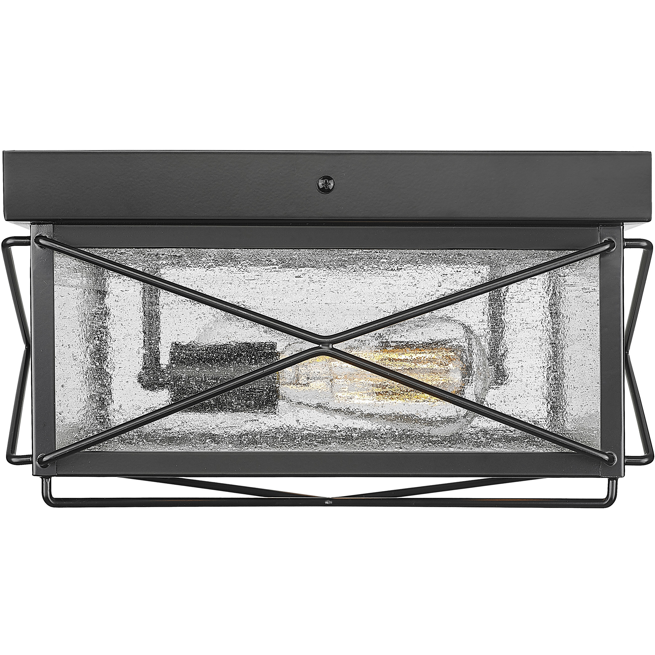 Robinson 2 Light 8 inch Powder Coated Black Outdoor Flush Mount